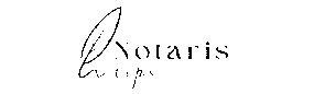 LOGO_ZWART - NotarisTips